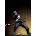 Ninja Warrior "Shinobi-no-mono"
