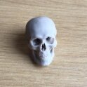 Skull 200mm